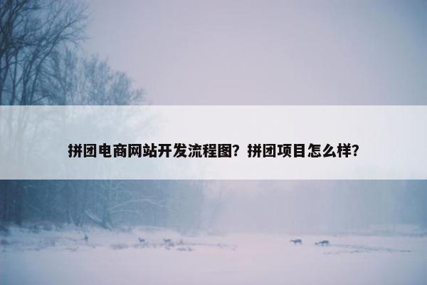 拼团电商网站开发流程图？拼团项目怎么样？