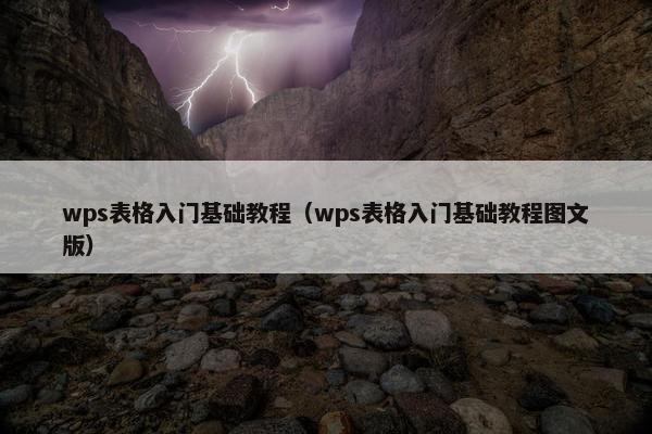 wps表格入门基础教程（wps表格入门基础教程图文版）