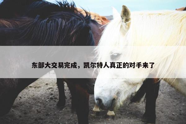 东部大交易完成，凯尔特人真正的对手来了