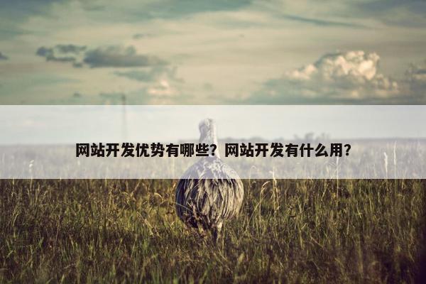 网站开发优势有哪些？网站开发有什么用？