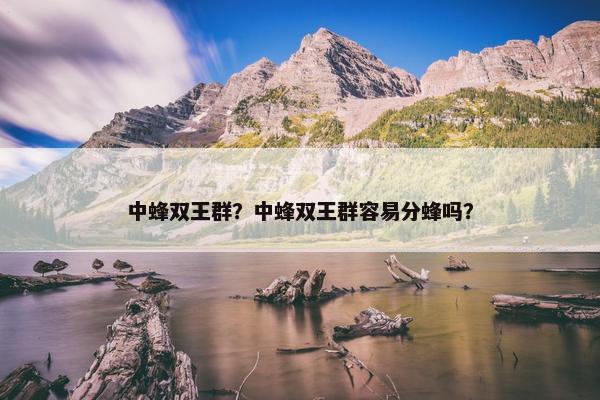 中蜂双王群？中蜂双王群容易分蜂吗？