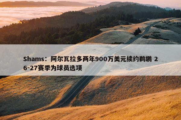 Shams：阿尔瓦拉多两年900万美元续约鹈鹕 26-27赛季为球员选项