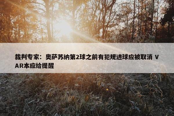 裁判专家：奥萨苏纳第2球之前有犯规进球应被取消 VAR本应给提醒