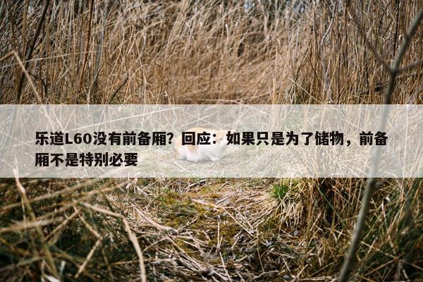 乐道L60没有前备厢？回应：如果只是为了储物，前备厢不是特别必要