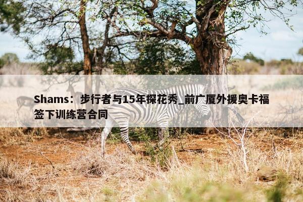 Shams：步行者与15年探花秀_前广厦外援奥卡福签下训练营合同