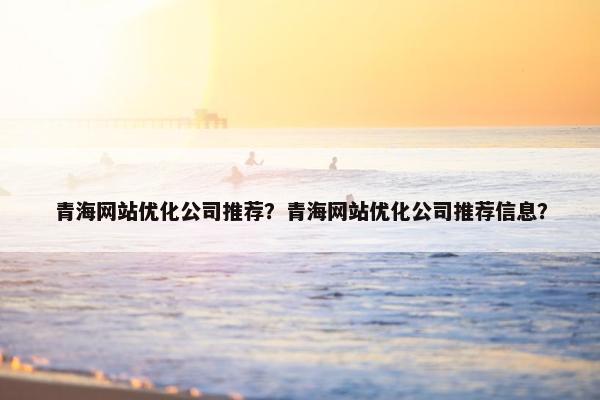 青海网站优化公司推荐？青海网站优化公司推荐信息？