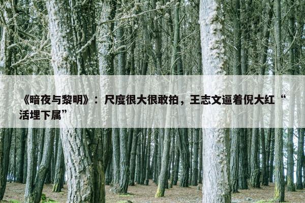 《暗夜与黎明》：尺度很大很敢拍，王志文逼着倪大红“活埋下属”