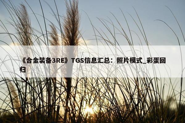 《合金装备3RE》TGS信息汇总：照片模式_彩蛋回归