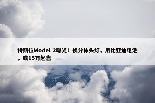 特斯拉Model 2曝光！换分体头灯，用比亚迪电池，或15万起售