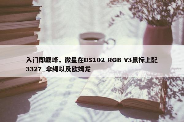 入门即巅峰，微星在DS102 RGB V3鼠标上配3327_伞绳以及欧姆龙