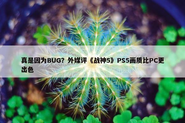 真是因为BUG？外媒评《战神5》PS5画质比PC更出色