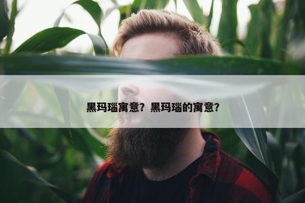 黑玛瑙寓意？黑玛瑙的寓意？