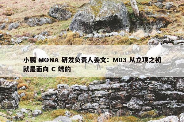 小鹏 MONA 研发负责人姜文：M03 从立项之初就是面向 C 端的