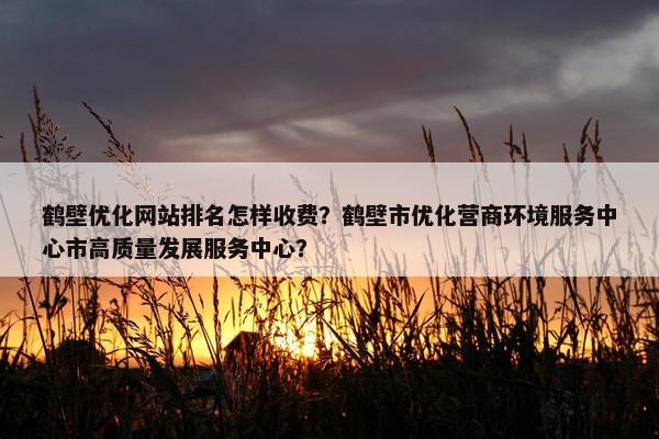 鹤壁优化网站排名怎样收费？鹤壁市优化营商环境服务中心市高质量发展服务中心？