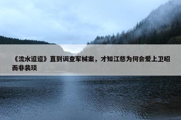 《流水迢迢》直到调查军械案，才知江慈为何会爱上卫昭而非裴琰