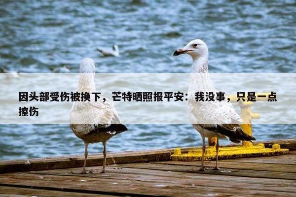 因头部受伤被换下，芒特晒照报平安：我没事，只是一点擦伤