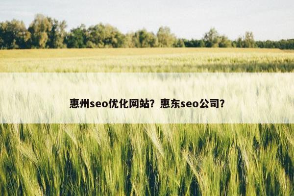 惠州seo优化网站？惠东seo公司？