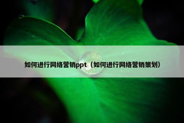 如何进行网络营销ppt（如何进行网络营销策划）