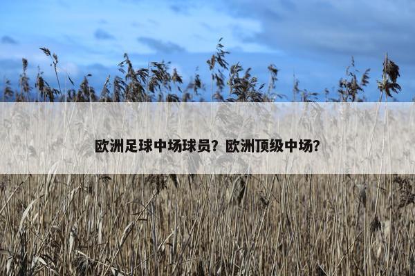 欧洲足球中场球员？欧洲顶级中场？