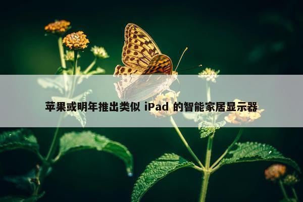 苹果或明年推出类似 iPad 的智能家居显示器