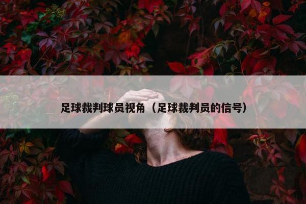 足球裁判球员视角（足球裁判员的信号）