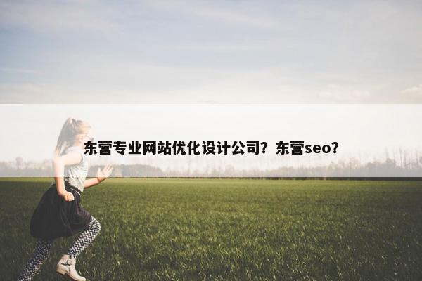 东营专业网站优化设计公司？东营seo？