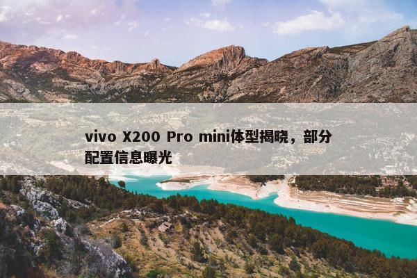 vivo X200 Pro mini体型揭晓，部分配置信息曝光