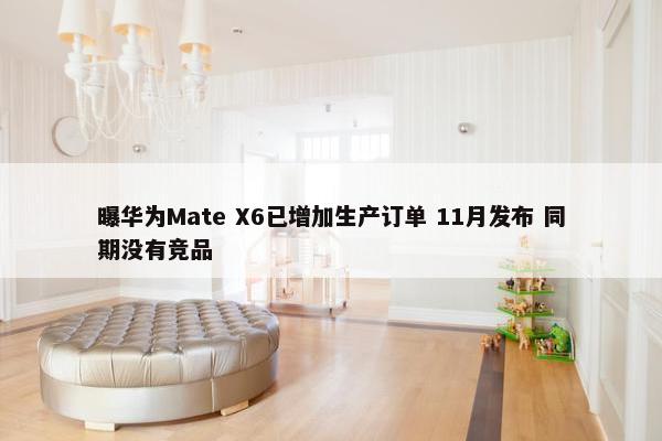 曝华为Mate X6已增加生产订单 11月发布 同期没有竞品