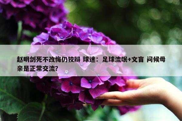 赵明剑死不改悔仍狡辩 球迷：足球流氓+文盲 问候母亲是正常交流？