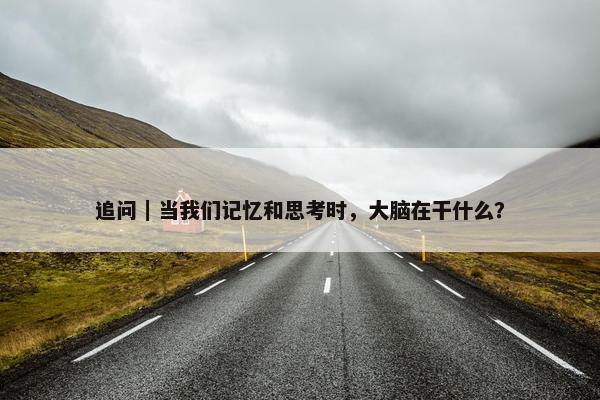 追问｜当我们记忆和思考时，大脑在干什么？