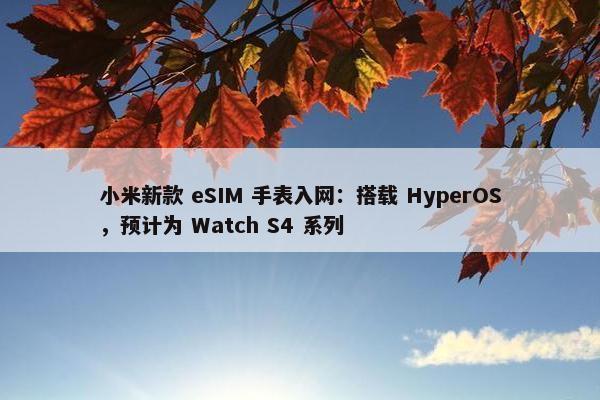 小米新款 eSIM 手表入网：搭载 HyperOS，预计为 Watch S4 系列