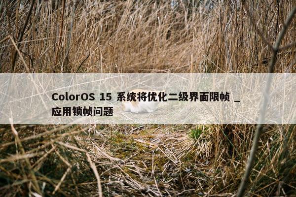 ColorOS 15 系统将优化二级界面限帧 _ 应用锁帧问题