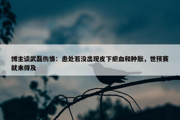 博主谈武磊伤情：患处若没出现皮下瘀血和肿胀，世预赛就来得及