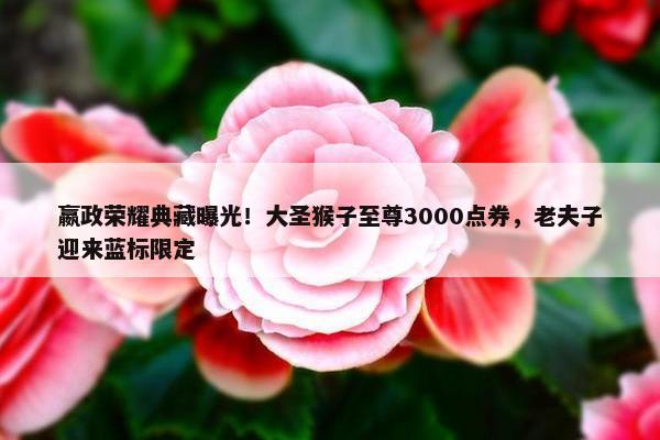 嬴政荣耀典藏曝光！大圣猴子至尊3000点券，老夫子迎来蓝标限定