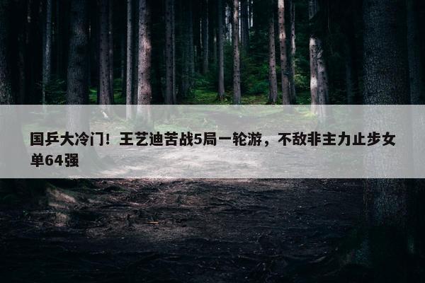 国乒大冷门！王艺迪苦战5局一轮游，不敌非主力止步女单64强