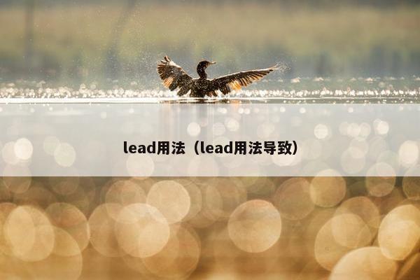 lead用法（lead用法导致）