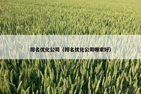 排名优化公司（排名优化公司哪家好）