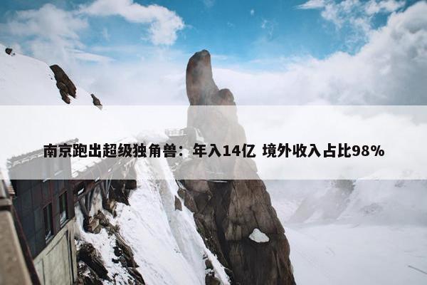 南京跑出超级独角兽：年入14亿 境外收入占比98%