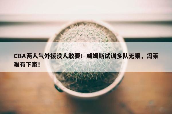 CBA两人气外援没人敢要！威姆斯试训多队无果，冯莱难有下家！