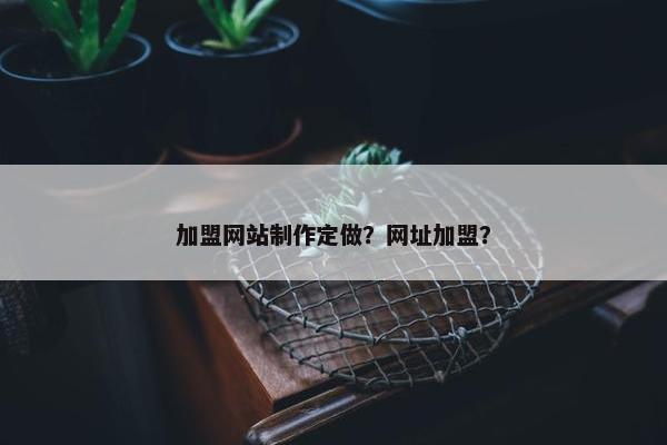 加盟网站制作定做？网址加盟？