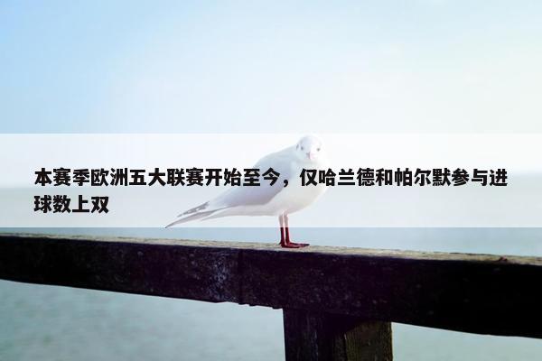 本赛季欧洲五大联赛开始至今，仅哈兰德和帕尔默参与进球数上双