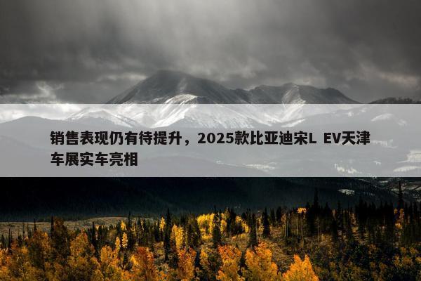 销售表现仍有待提升，2025款比亚迪宋L EV天津车展实车亮相