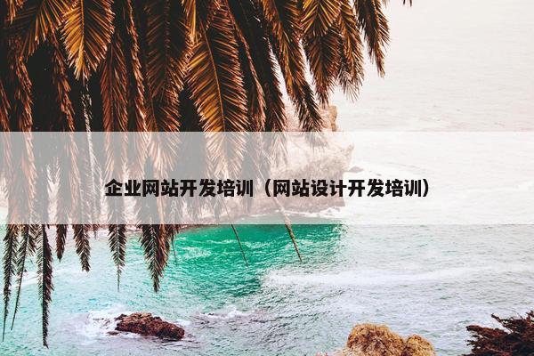 企业网站开发培训（网站设计开发培训）