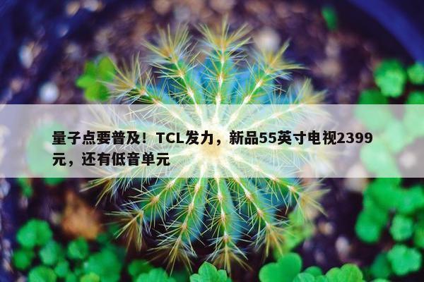 量子点要普及！TCL发力，新品55英寸电视2399元，还有低音单元