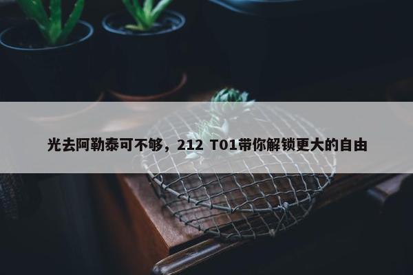 光去阿勒泰可不够，212 T01带你解锁更大的自由