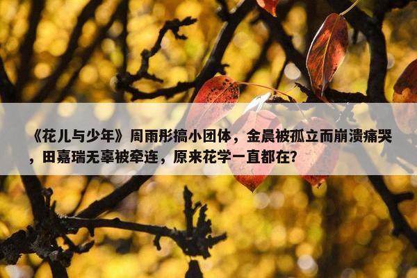 《花儿与少年》周雨彤搞小团体，金晨被孤立而崩溃痛哭，田嘉瑞无辜被牵连，原来花学一直都在？