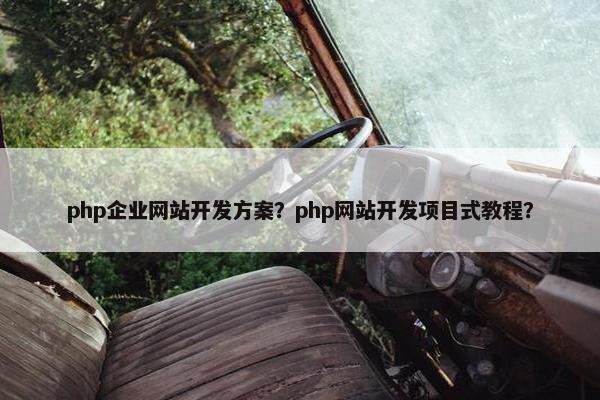 php企业网站开发方案？php网站开发项目式教程？