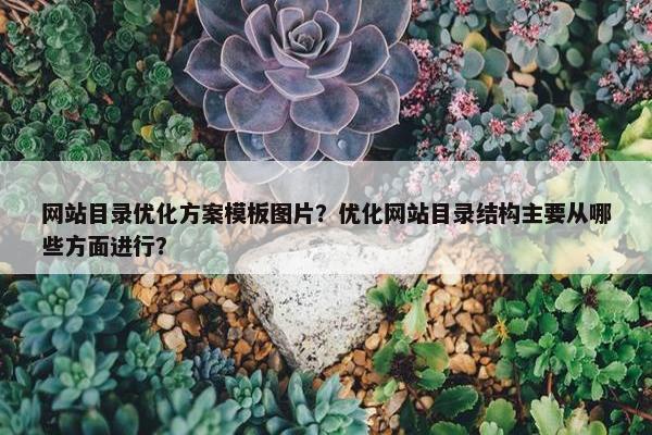 网站目录优化方案模板图片？优化网站目录结构主要从哪些方面进行？