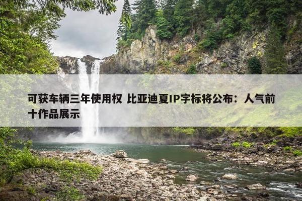 可获车辆三年使用权 比亚迪夏IP字标将公布：人气前十作品展示