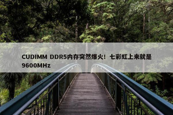 CUDIMM DDR5内存突然爆火！七彩虹上来就是9600MHz